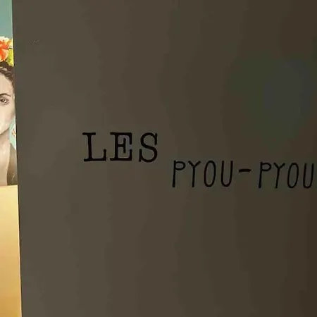 Daire Les Pyou-pyous