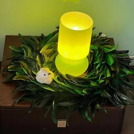 Appartement Les Pyou-pyous Nancy