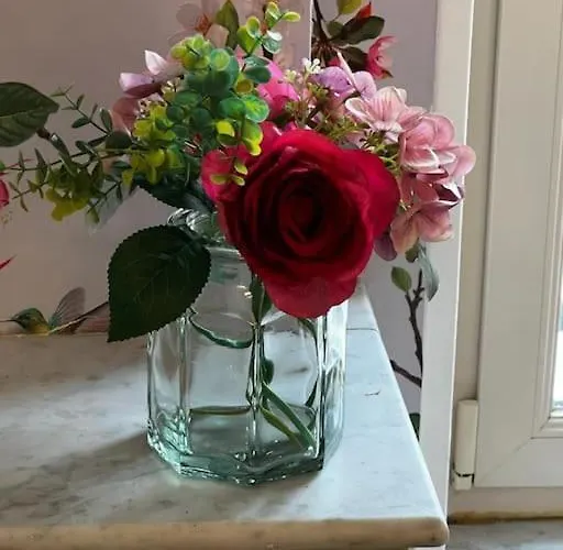 Lejlighed Les Pyou-pyous Nancy