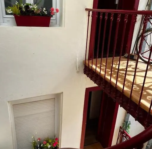 Les Pyou-pyous Daire