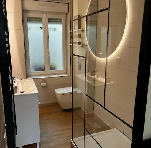 Daire Les Pyou-pyous Nancy